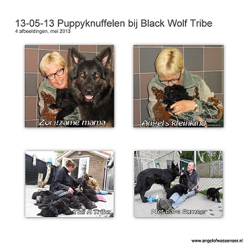 Puppy knuffelen bij Angels kleinkinderen From Black Wolf Tribe